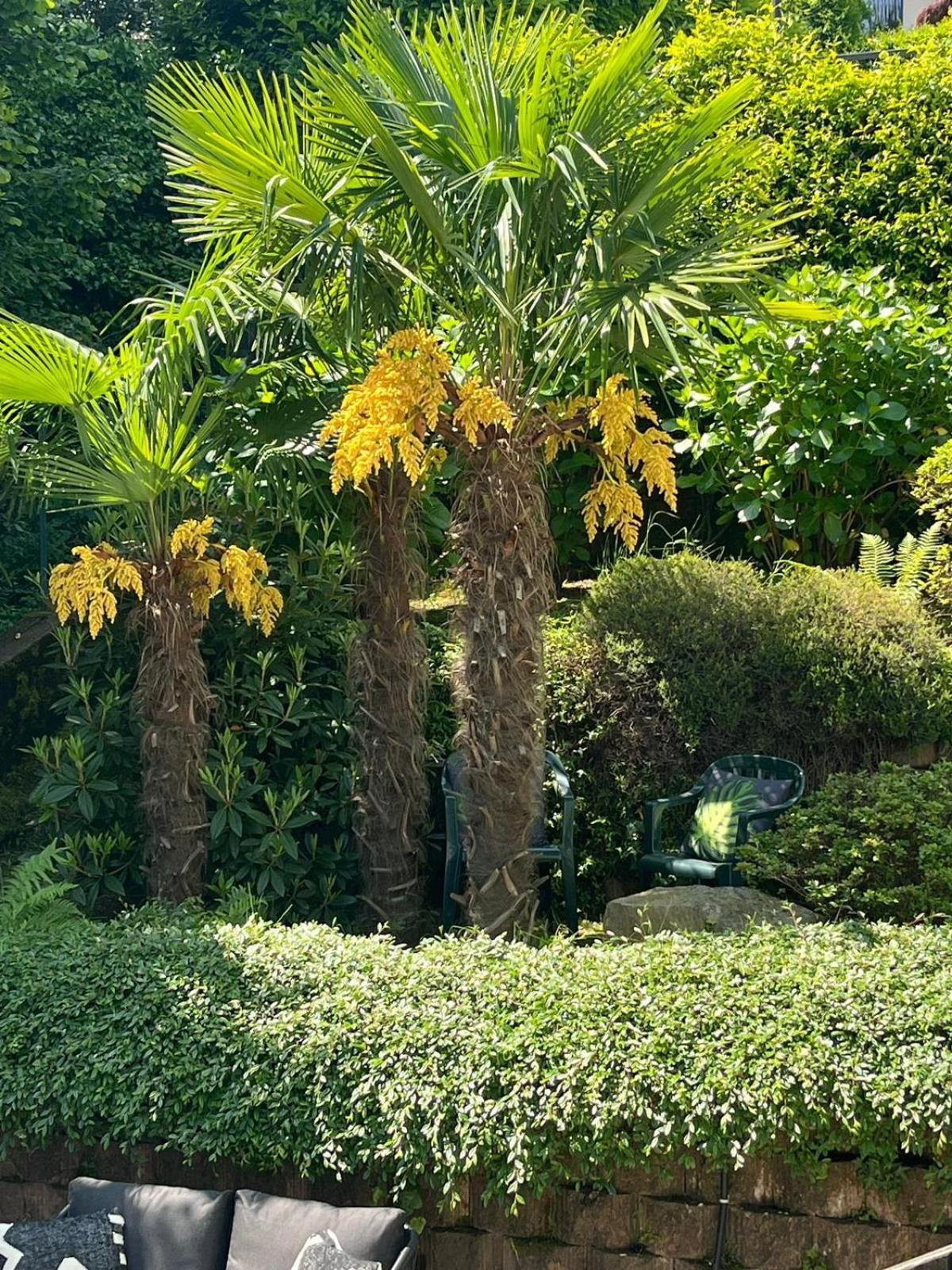 Miralago Stresa Exterior foto